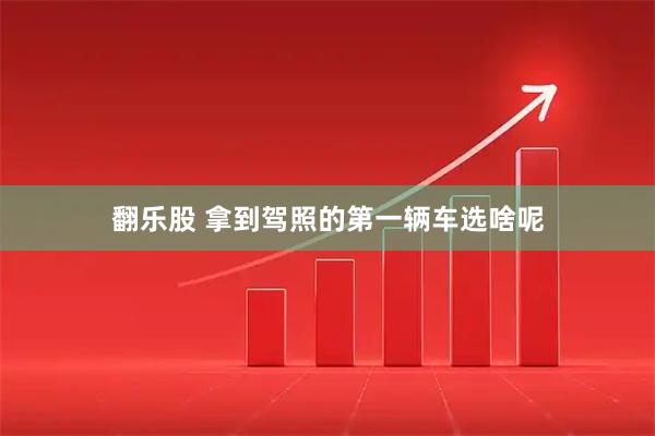 翻乐股 拿到驾照的第一辆车选啥呢